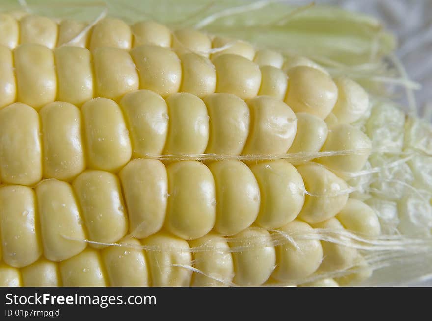 Sweet Corn