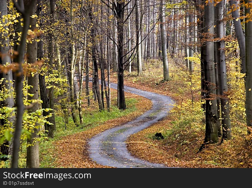 This image was taken in the hungarian hills
in autumn. This image was taken in the hungarian hills
in autumn