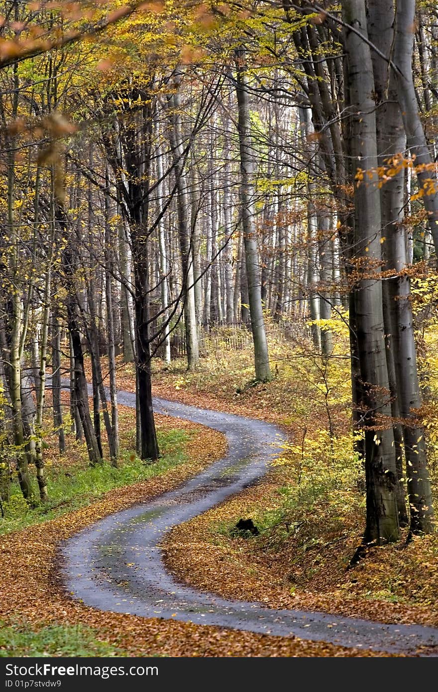 This image was taken in the hungarian hills
in autumn. This image was taken in the hungarian hills
in autumn