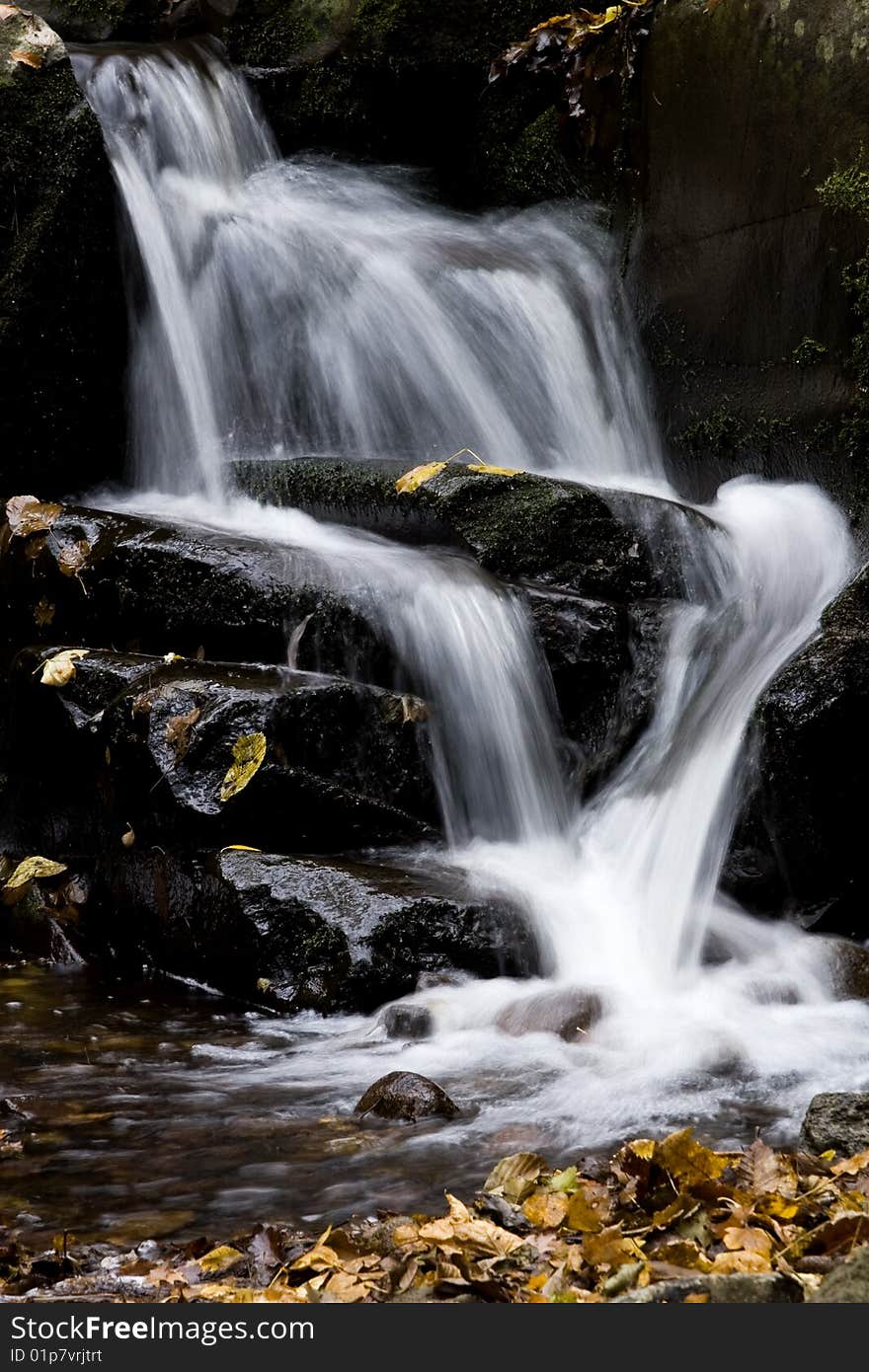 Autumn Stream