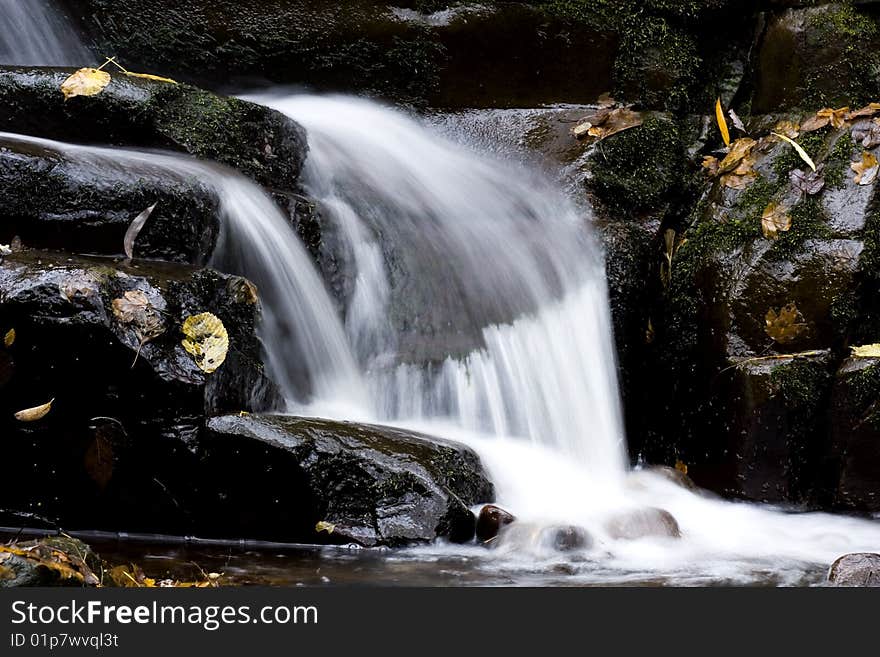 Autumn stream