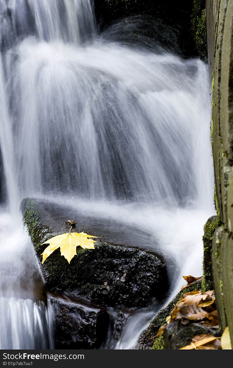 Autumn stream