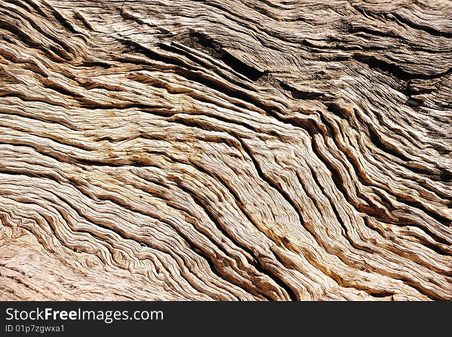 Tree bark (Background)