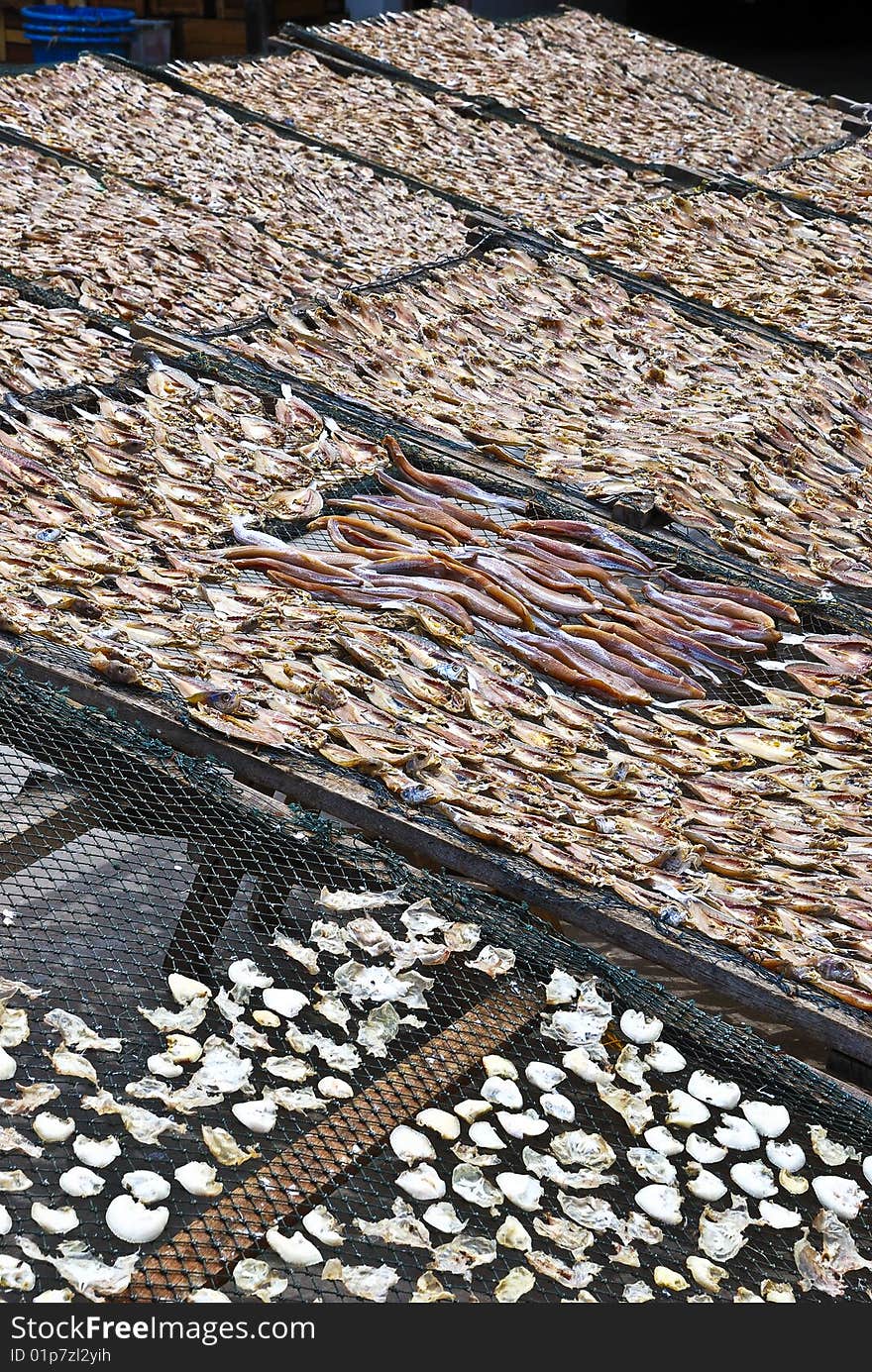 Dried Salted Fish Series 1