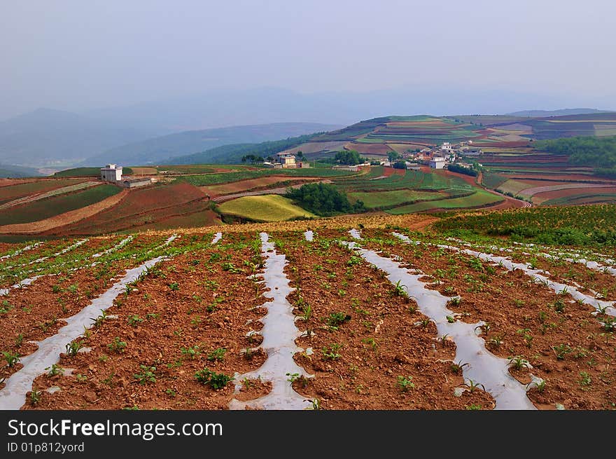 This is the northeastern part of China's Yunnan province, a red land, the farmers in cultivation, forming a natural wonder.