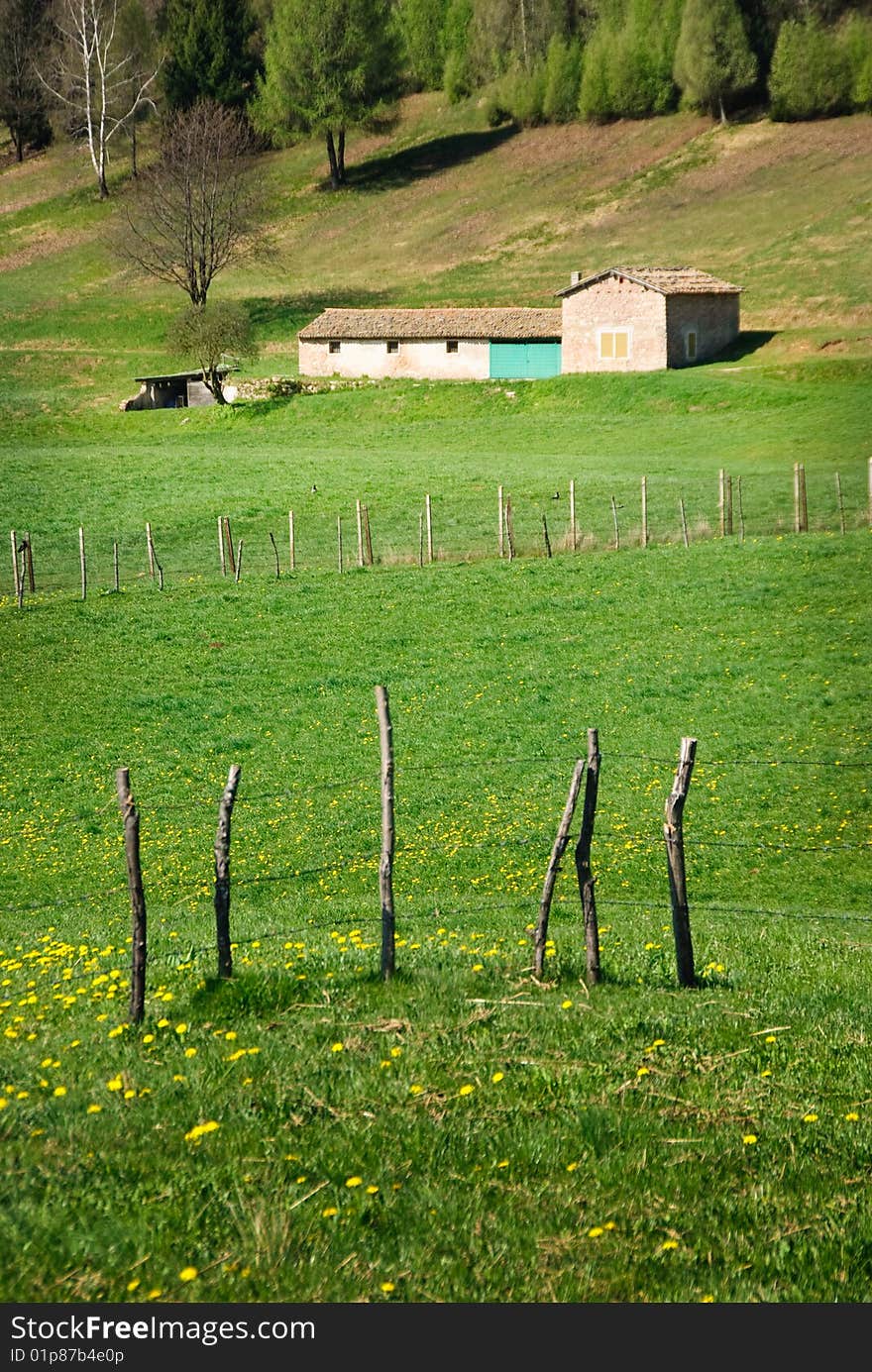 Italian Countryside