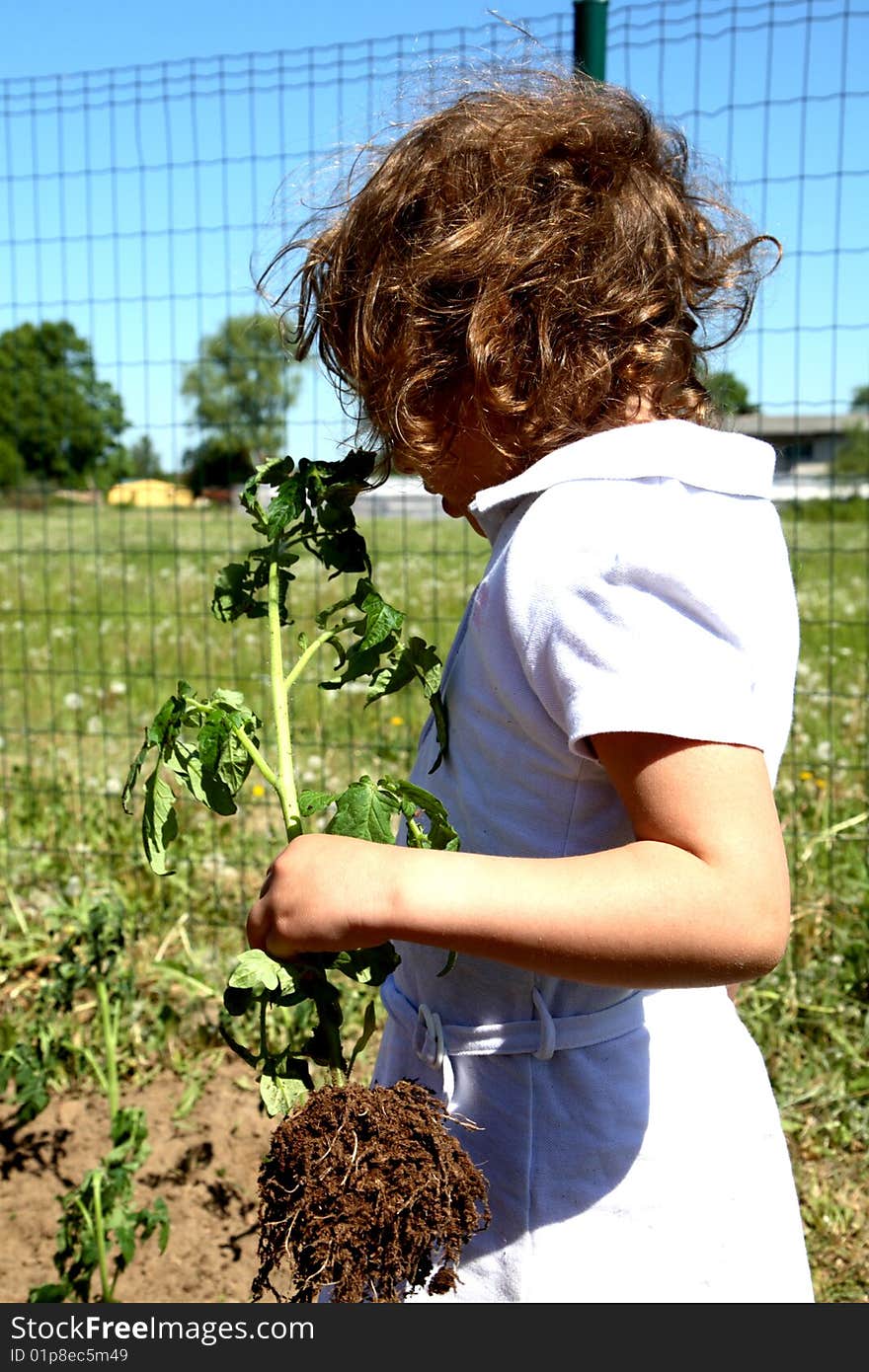 girl in the garden working. girl in the garden working