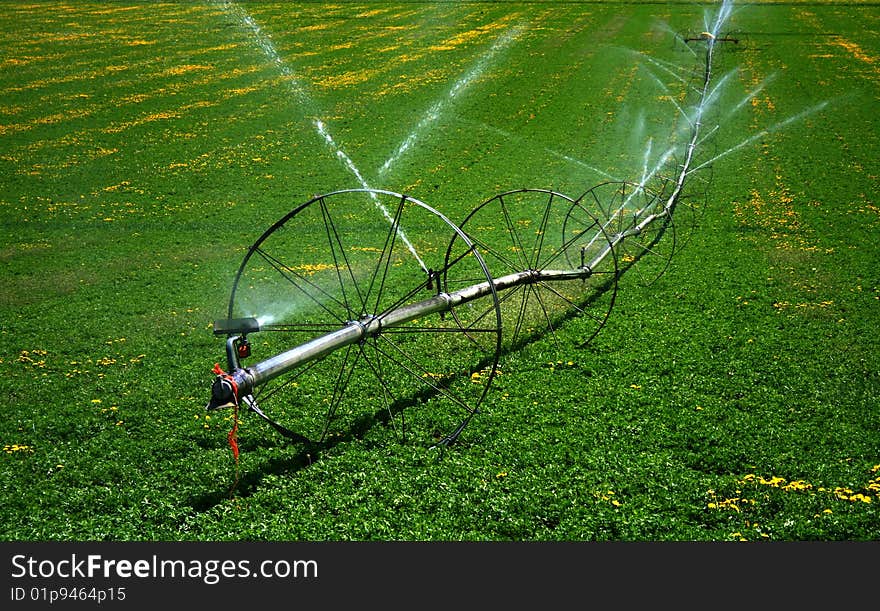 Spring Irrigation