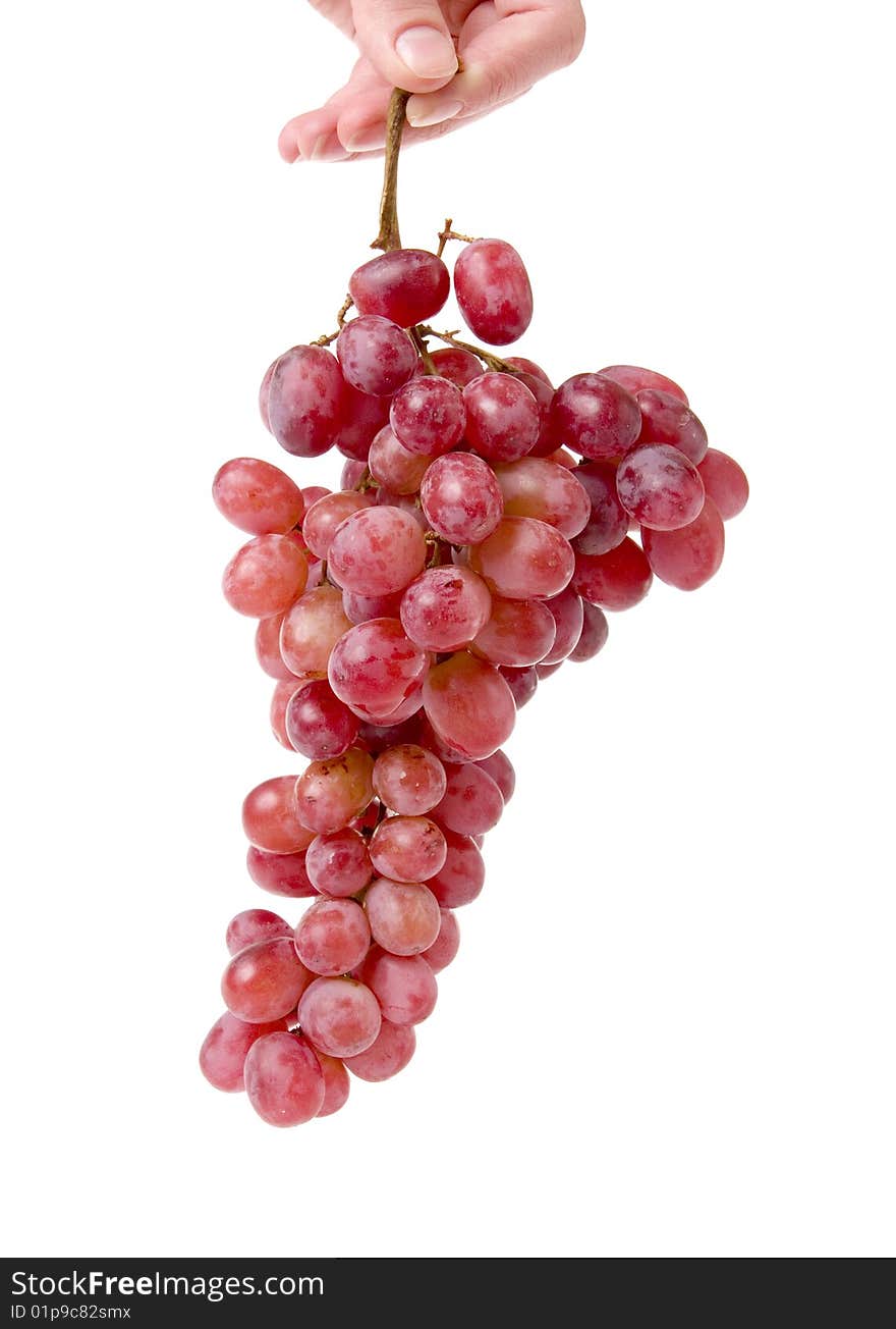 Grapes in women hand