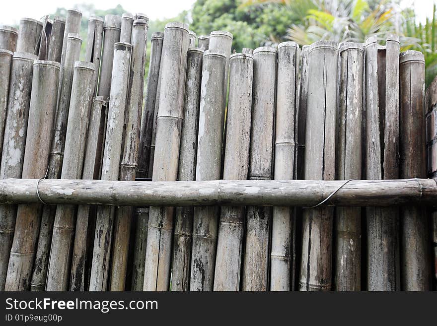 Bamboo fence at the countryside