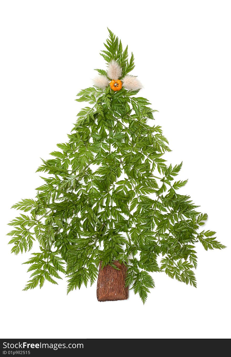 Decorative cristmas spruce from green herb put on white background