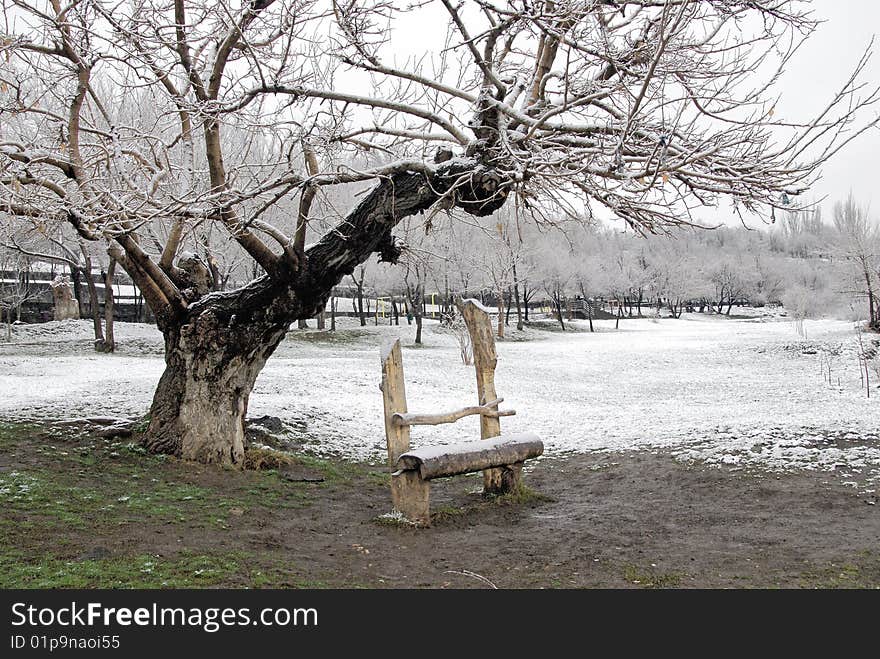 At the border of winter. At the border of winter.