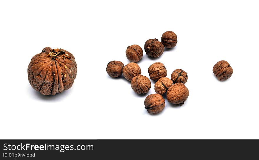 Few walnuts on the white background.