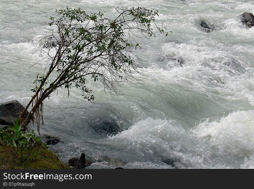 Russia, Mountain Altai, area the Katunsky ridge, a river Kucherla watershed.  . Russia, Mountain Altai, area the Katunsky ridge, a river Kucherla watershed.