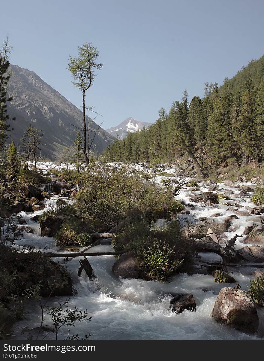 Russia, Mountain Altai, area the Katunsky ridge, a river Kucherla watershed.