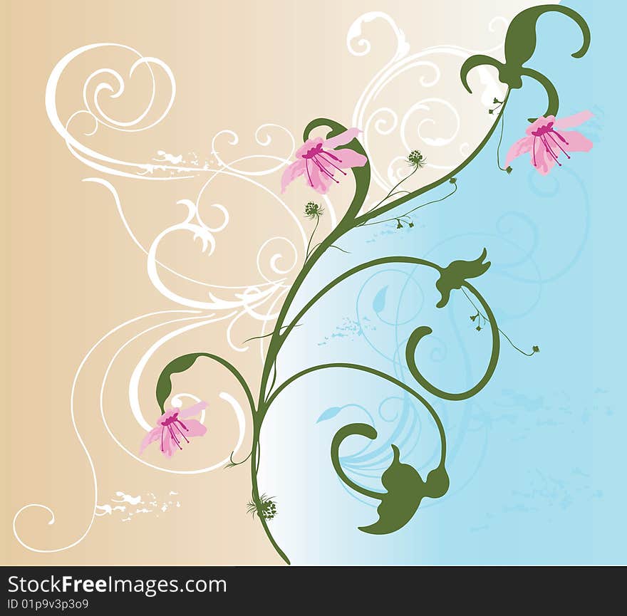 Decorative Background