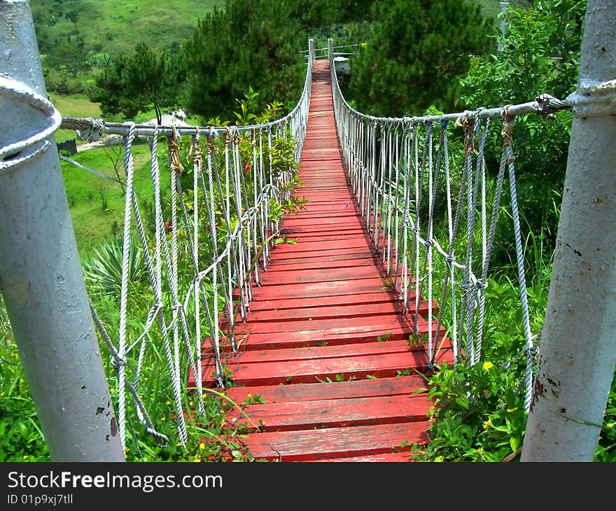 Wooden hanging Bridge