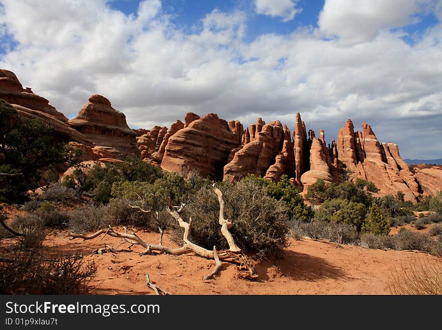 Arches Park Columns of eroded rock