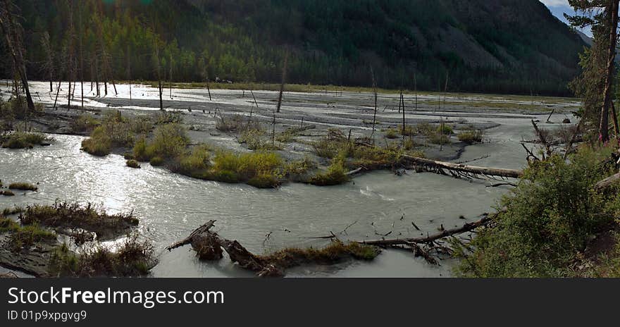 Russia, Mountain Altai, area the Katunsky ridge, a river Kucherla watershed.