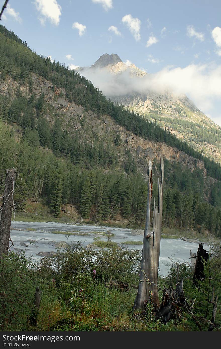 Russia, Mountain Altai, area the Katunsky ridge, a river Kucherla watershed.