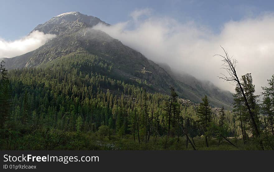 Russia, Mountain Altai, area the Katunsky ridge, a river Kucherla watershed.  . Russia, Mountain Altai, area the Katunsky ridge, a river Kucherla watershed.