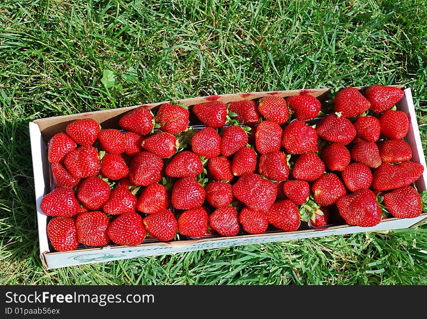 A Strawberry In A Grass.