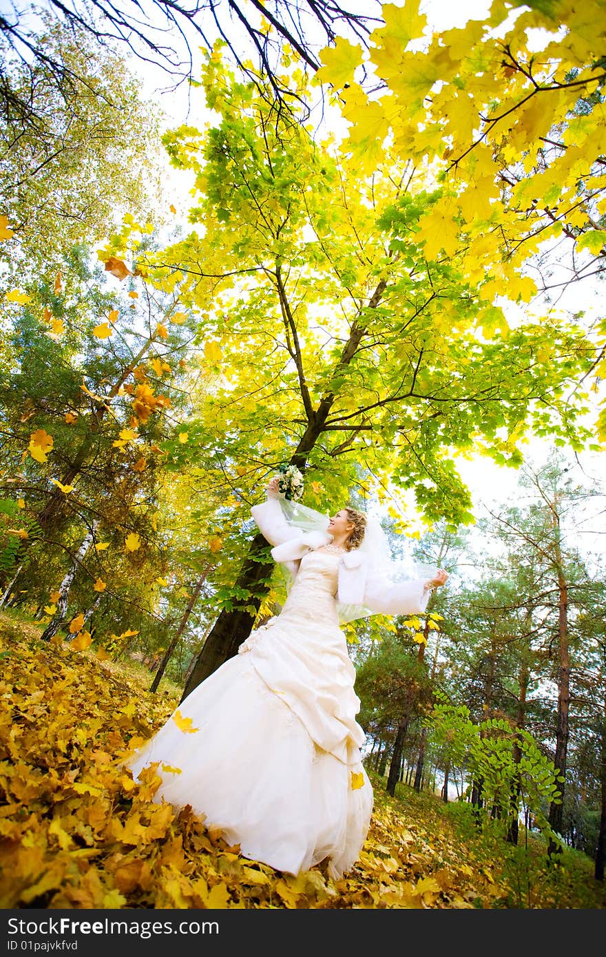 A bride in the park. A bride in the park