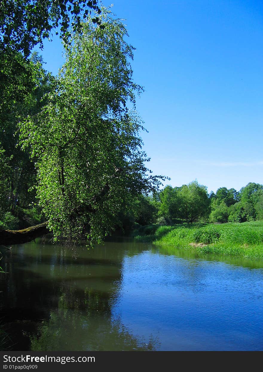 Beautiful rural landscape. Nature background.