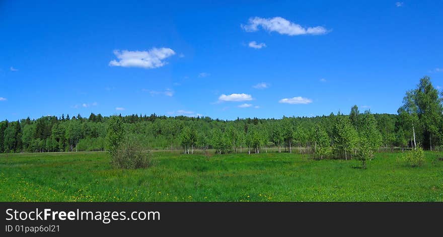 Beautiful rural landscape. Nature background.