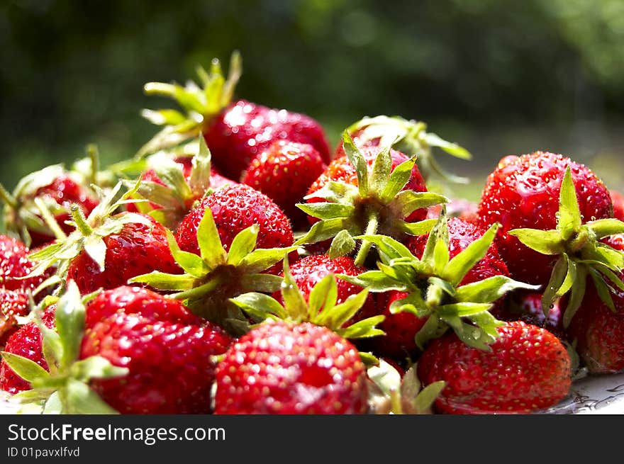 Fresh summer strawberry on colored background. Fresh summer strawberry on colored background