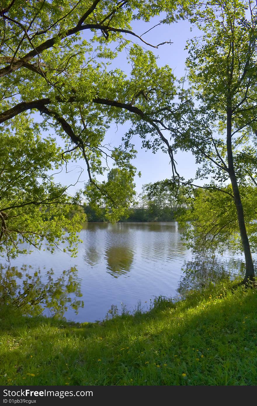 Trees were inclined over water, against the dark blue sky.