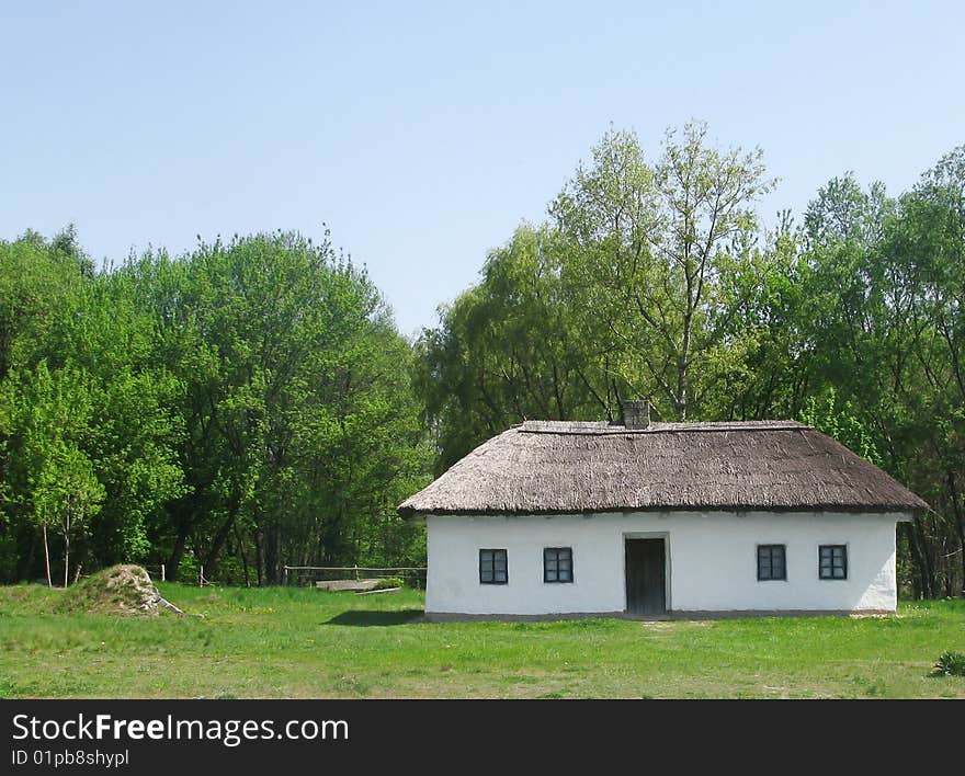 Rural house, white rural house, wattled fence, flowering cherry, Ukrainian village, Ukrainian country