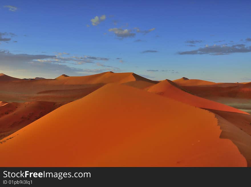 Sand dune during the sundrise in the sossusvlei namibia. Sand dune during the sundrise in the sossusvlei namibia