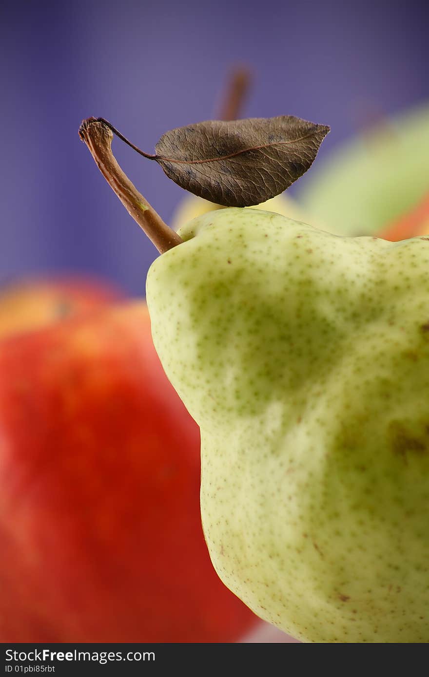 Pear With Leaflet One The Twig