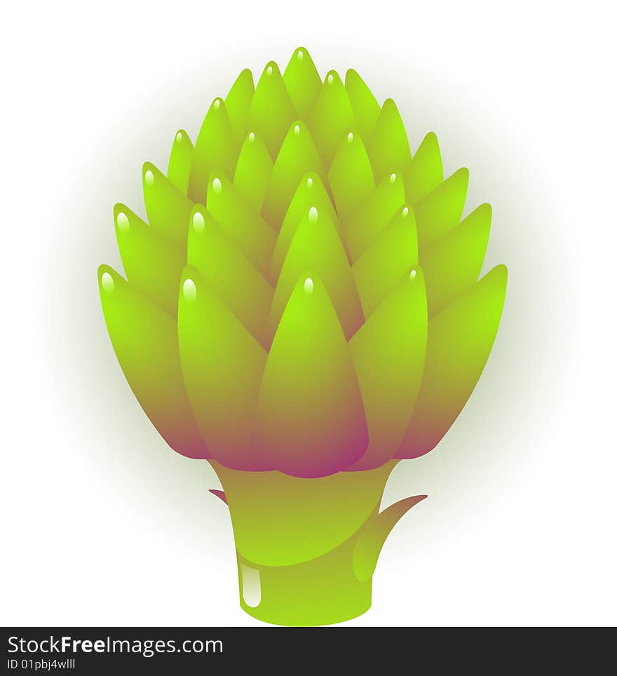 Artichoke