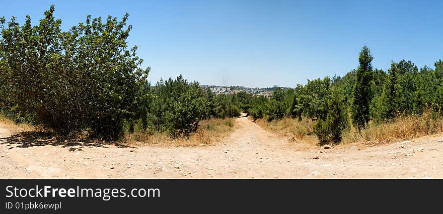 Hiking Trail In Suburban Forest