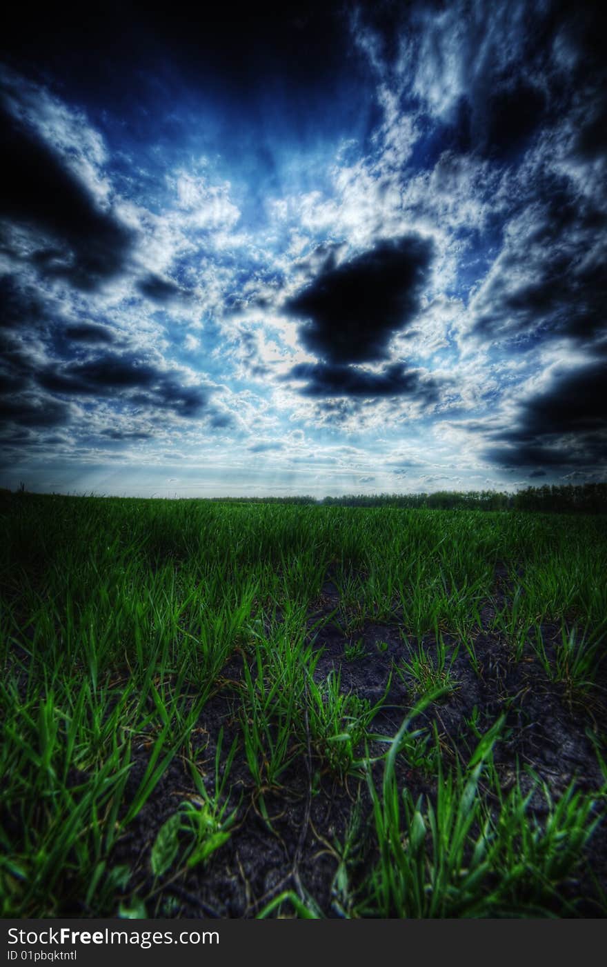 Grass field and the cloudscape - 20 megapixels. Grass field and the cloudscape - 20 megapixels