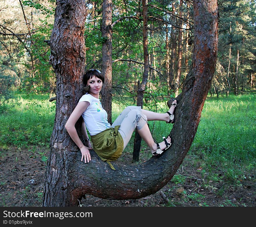 Young girl sitting on a branch of pine. Young girl sitting on a branch of pine