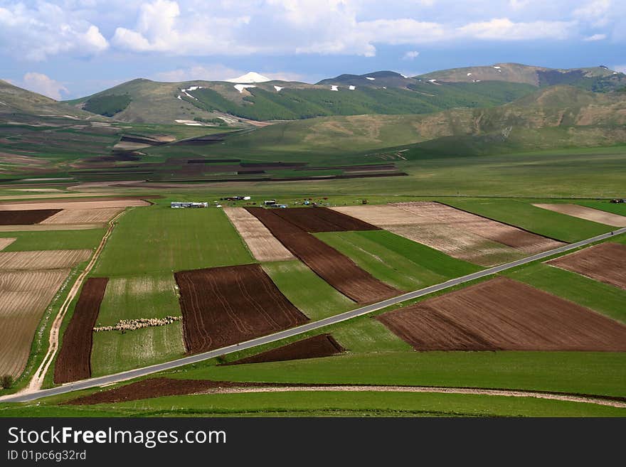 Castelluccio /spring Landscape