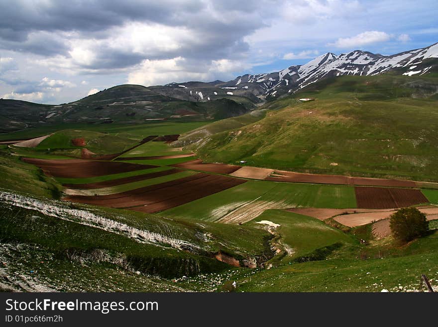 Castelluccio /spring landscape