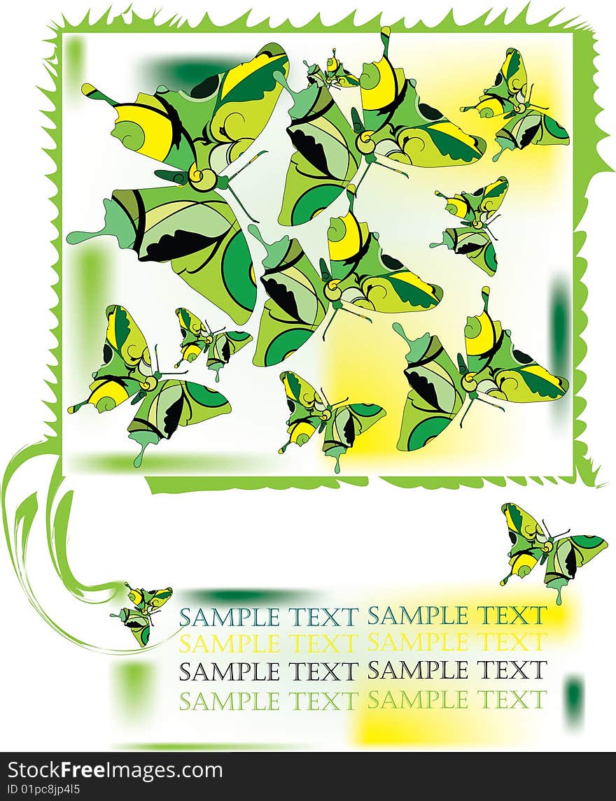 Green butterfly on decorative background with place for text