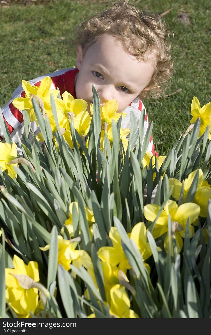 Smelling Daffodils