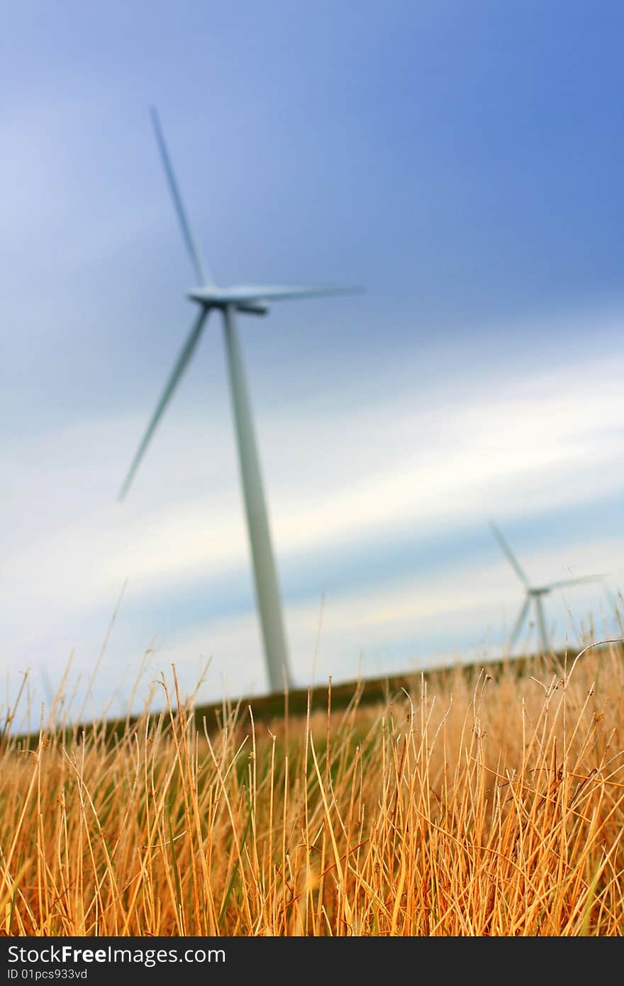 Modern windmill against the sky qutg grass close up