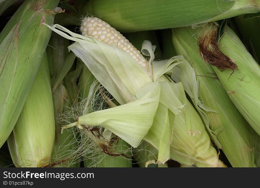 Corn for sale at the market during the spring