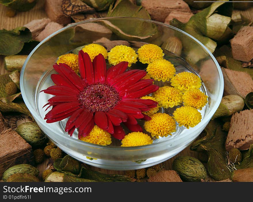 Flowers in water