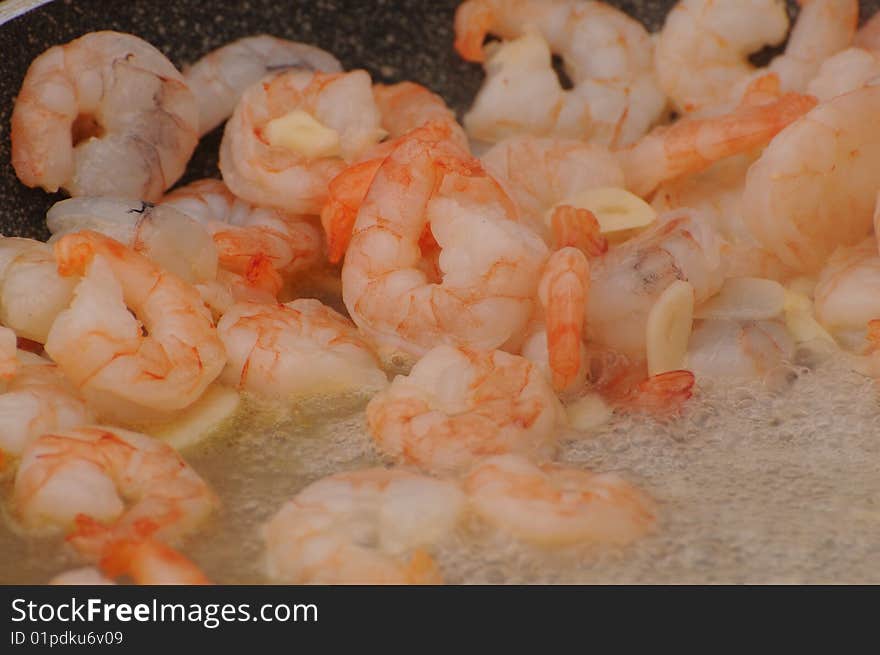 Shrimps 005