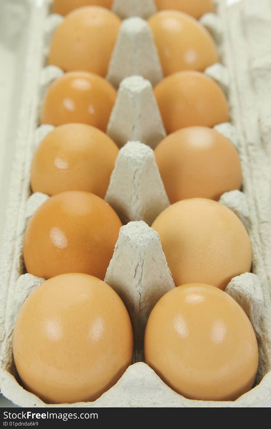 Free range eggs isolated against a white background