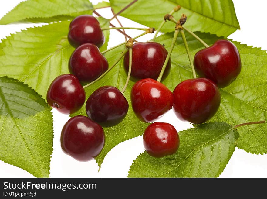 Cherries On Leaves