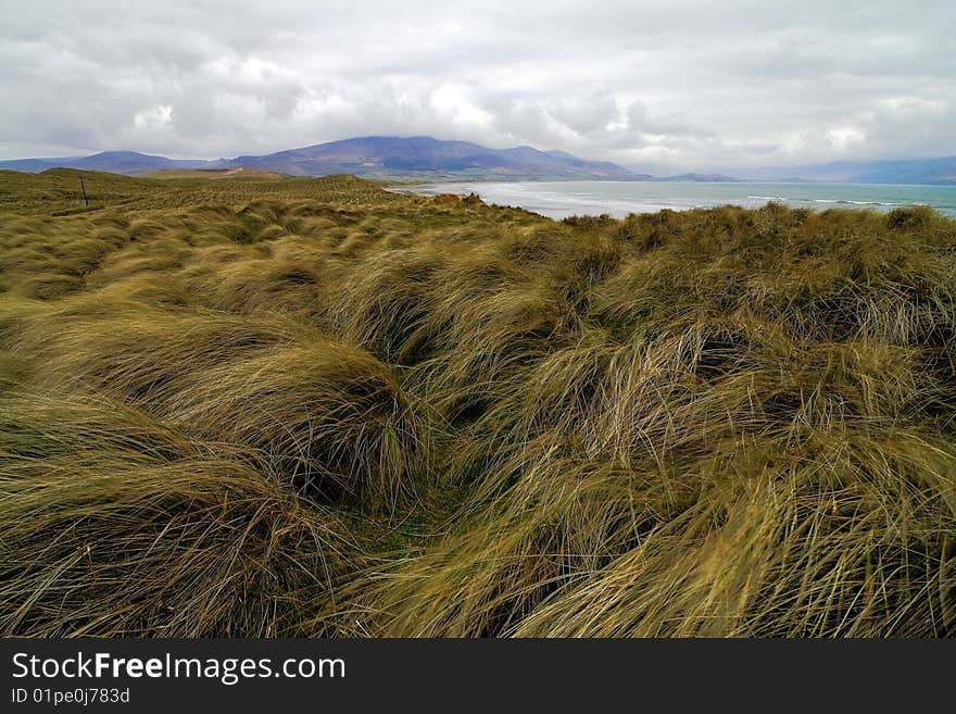 Typical Irish landscape on windy day in Dingle peninsula, Brandon head. Typical Irish landscape on windy day in Dingle peninsula, Brandon head