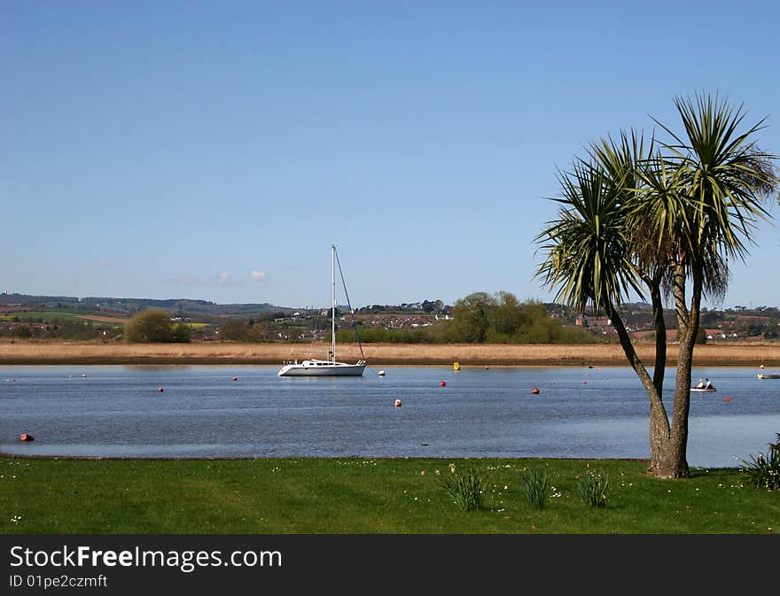 Yacht cruising past palm tree. Yacht cruising past palm tree